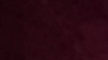 Autoridades de NY reforzarán medias para garantizar seguridad en festejo del 4 de Julio