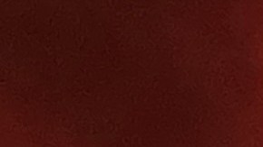 Celebraciones del 4 de julio en NYC/Archivo.