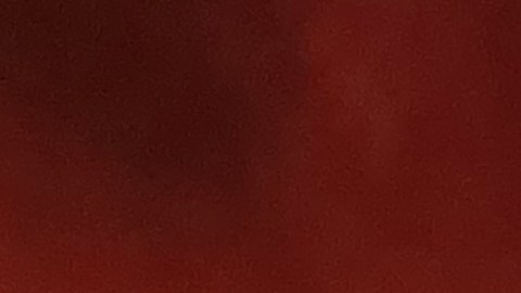 Celebraciones del 4 de julio en NYC/Archivo.