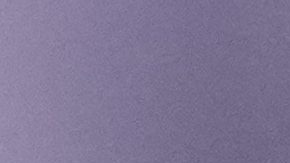 Fan en la Eurocopa 2024.