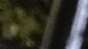 Fan colombiano se lamenta tras final de la Copa América 2024.