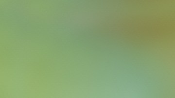 Ciruelas, fruta rica en proteínas