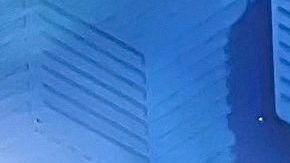 Galilea Montijo deslumbró a la audiencia con su atuendo.