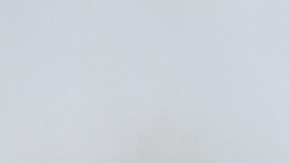 Galletas fáciles de preparar