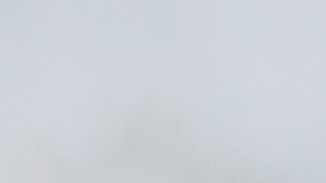 Galletas fáciles de preparar