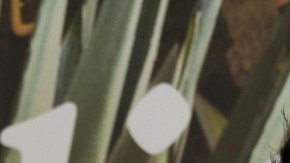 Guty Carrera, participante de 'La Isla: Desafío Extremo'.