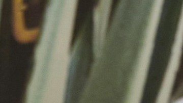 Guty Carrera, actor ecuatoriano.