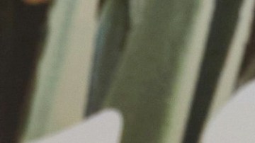 Guty Carrera, actor ecuatoriano.