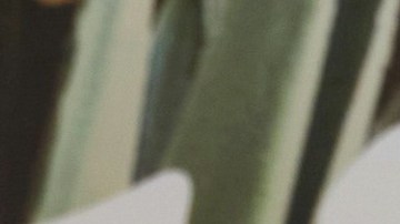 Guty Carrera, actor ecuatoriano.