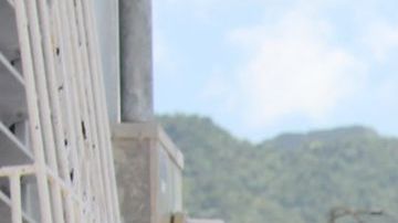 Alexandria Ocasio Cortez visita Casa Pueblo en Puerto Rico