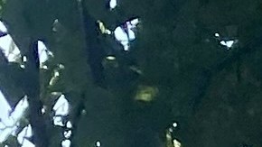 Vista de una chanca de fútbol en un parque de Queens.