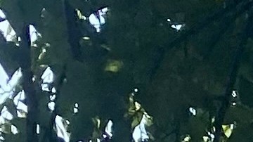 Vista de una chanca de fútbol en un parque de Queens.