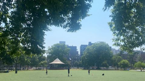 Vista de una chanca de fútbol en un parque de Queens.