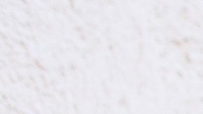 El técnico argentino reconoció el buen trabajo de la directiva para lograr los fichajes.