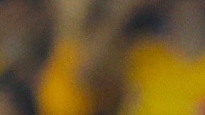 Jonathan Dos Santos considera positiva la llegada de Rafa Márquez al Tri.