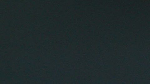 El entrenador de Pumas aseguró que buscarán su pase a la siguiente ronda de la Leagues Cup.