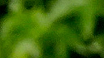 Biden en algunas ocasiones ha respondido a los reporteros, pero en otras ha salido de la sala ignorando preguntas.