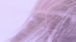 Ben Affleck ha permanecido en Los Ángeles mientras que Jennifer López ha estado disfrutando en Nueva York.