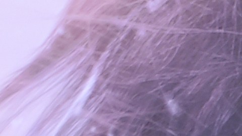 Ben Affleck ha permanecido en Los Ángeles mientras que Jennifer López ha estado disfrutando en Nueva York.