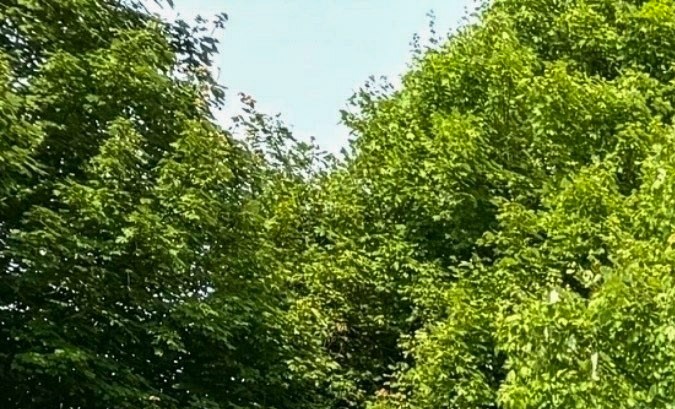 La fiesta de Jennifer López generó muchos residuos.