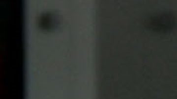 Primeras imágenes de una posible pareja,