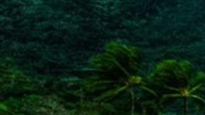 Julia Gama, modelo brasileña.