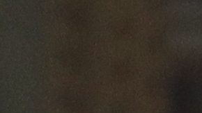 Julio Cesar Chavez Jr.