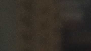 Julio Cesar Chavez Jr.