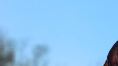 La oficial K9 Bona y su adiestrador, el policía Landon Rabun, lograron capturar al sospechoso.