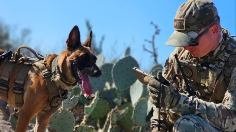 La oficial K9 Bona y su adiestrador, el policía Landon Rabun, lograron capturar al sospechoso.