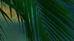 Participantes de 'La Isla: Desafío Extremo', de Telemundo.