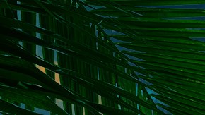 El nuevo reality de Telemundo, "La Isla: Desafío Extremo" dará inicio el 30 de julio.