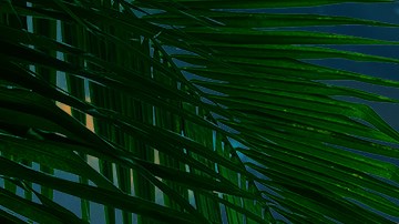 El nuevo reality de Telemundo, "La Isla: Desafío Extremo" dará inicio el 30 de julio.