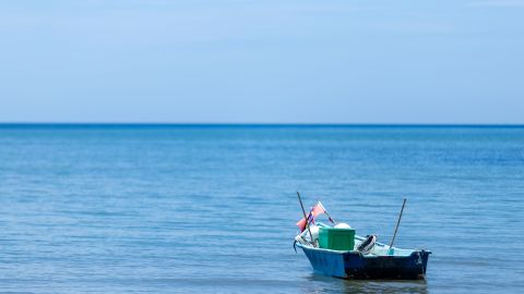 Pesca