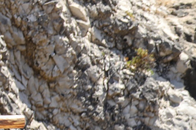 La Isla: Desafío Extremo empezó y la competencia está difícil.