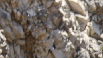 La Isla: Desafío Extremo empezó y la competencia está difícil.