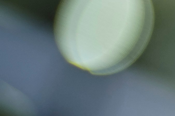  Henry Centeno, durante el primer juego de la serie de la temporada 2022 de la Liga Mexicana de Béisbol, entre los Diablos Rojos del México y los Mariachis de Guadalajara, celebrado en el estadio Alfredo Harp Helú. Foto: Imago7/ Rafael Vadillo.
