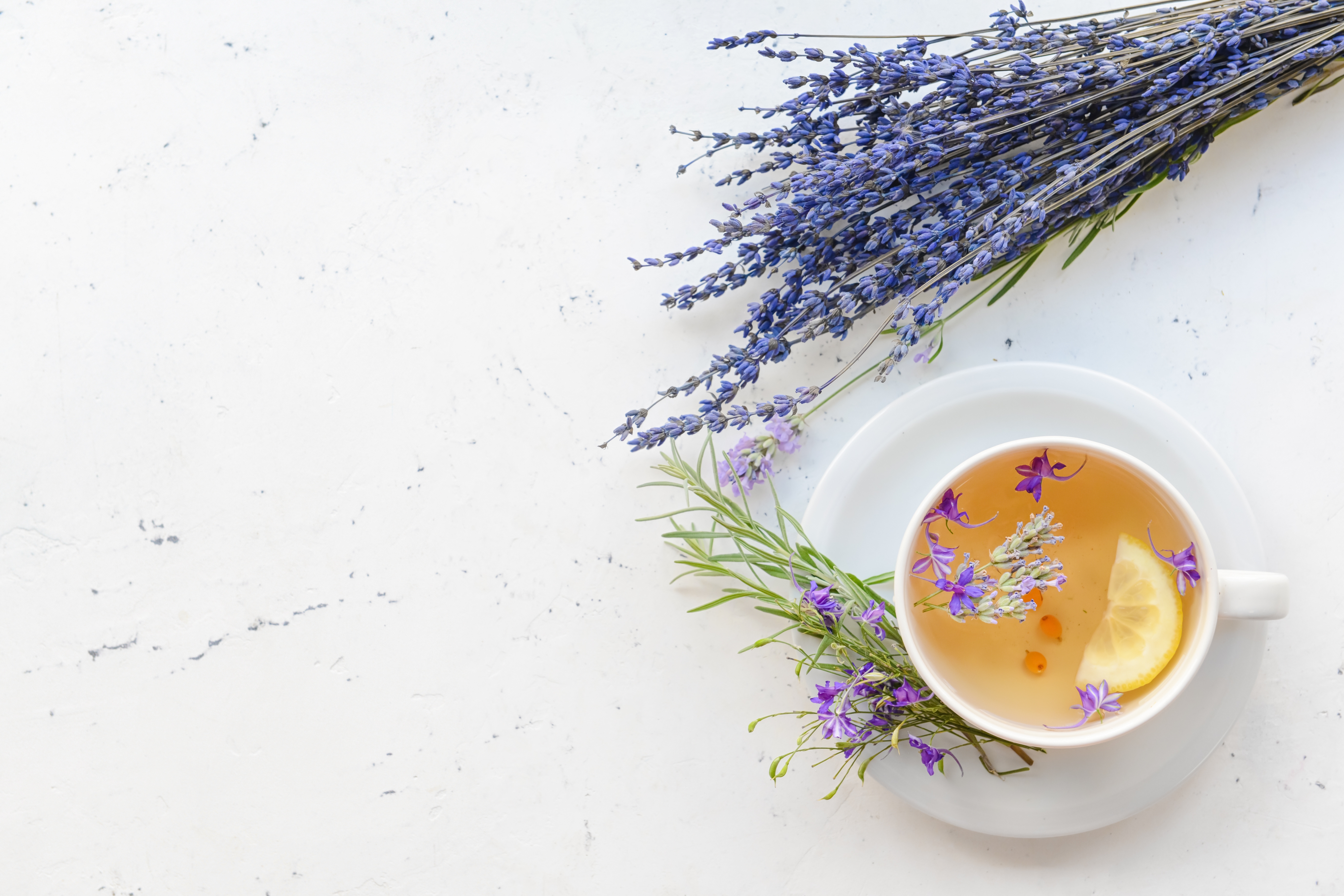 Lavanda