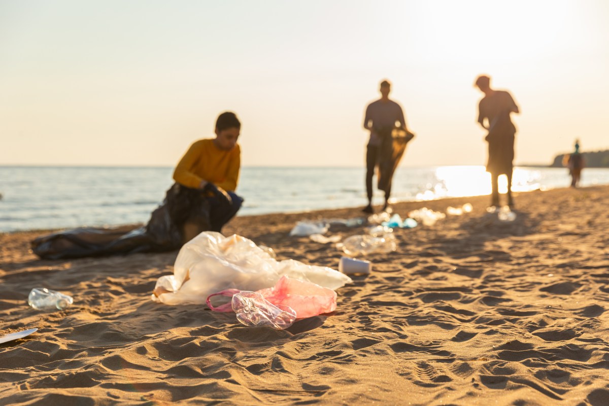 Particular issues discovered on New York seashores