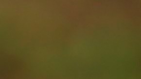 Vuelve un hábito cotidiano el consumo de esta refrescante agua detox y pierde medidas en el camino.