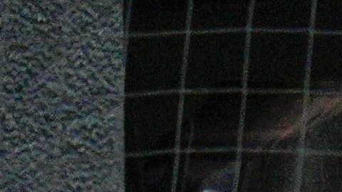 Atlanta Braves manager Brian Snitker. Foto: Jess Rapfogel.