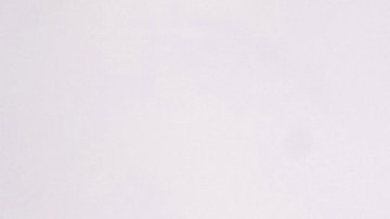 María León, cantante mexicana.