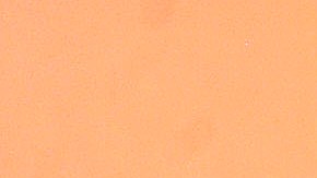 Según Mark Tacher, él vio como Lapizito recogió el anillo y no lo devolvió.