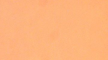 Según Mark Tacher, él vio como Lapizito recogió el anillo y no lo devolvió.