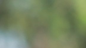 Maximiliano Quintero Hernández, árbitro central.