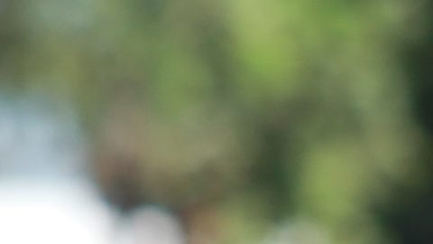 Maximiliano Quintero Hernández, árbitro central.