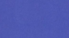 Myrka Dellanos, presentadora de televisión.