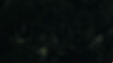 Rylo Yancy, de 3 años jugaba en la fiesta infantil en un tobogán cuando recibió un disparo.