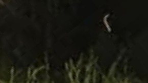 El niño de 4 años fue encontrado flotando en el agua, mientras que el bebé estaba en una zanja con vida.