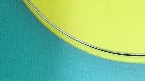 Esta revelación de José Eduardo y Paola marca un momento importante en su viaje como padres